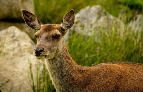 Harbour view retreat - Foto 23