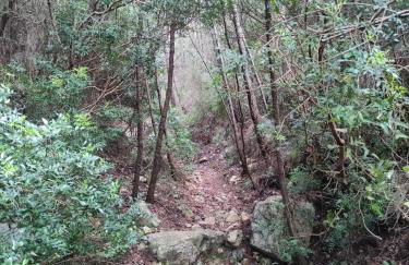 Apartamento en el Edificio Barlovento, situado en el centro de Alcossebre, a 150m del mar - Photo 31