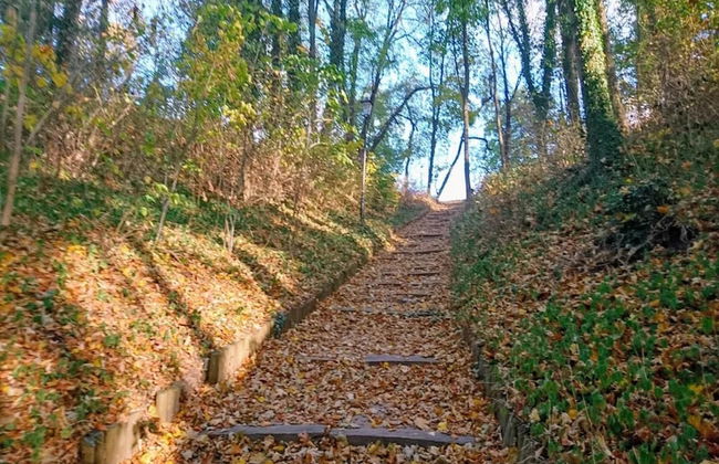 Ferienwohnungen, Malchow - Foto 25