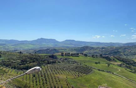 Studio O F 2 - Foto 38