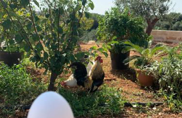 PaolOttaviA - Foto 46