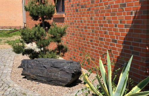 Studio/Loft in Eberswalde - Foto 40