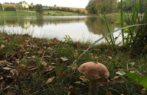 Dolina 3 Stawów Tarnawka - Photo 34