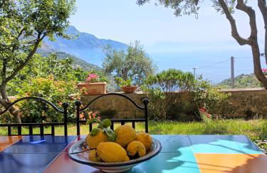 Amalfi Coast, Positano, Sorrento, Capri, Garden, Villa Carcara - Foto 4