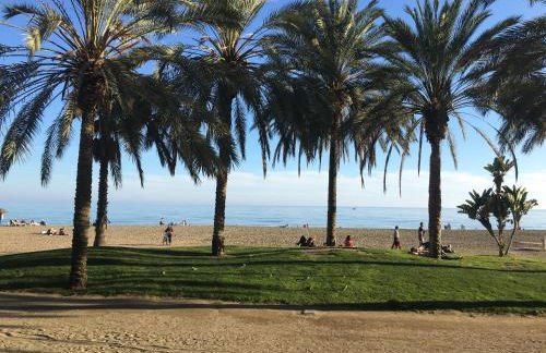 Perla de Malagueta - Foto 56