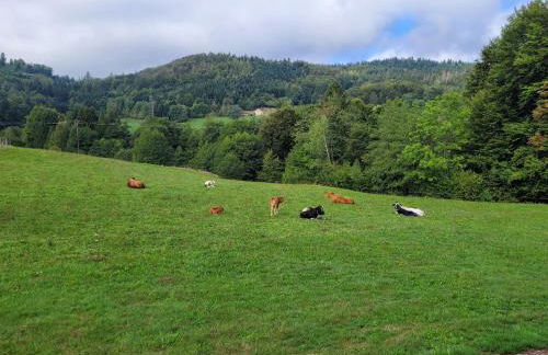 Appartement lumineux 3 chambres, terrasse, proche commerces et ski, avec WiFi - FR-1-589-677 - Foto 8