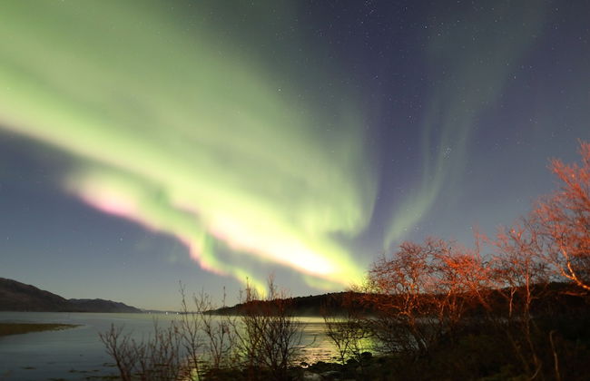 Senja Arctic Lodge AS - Foto 26