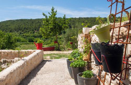 EASY HOLIDAY - Foto 46