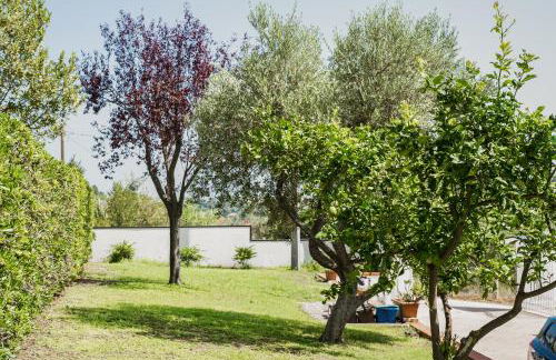 Il Segreto Dei Viaggiatori - KIEV - Foto 21