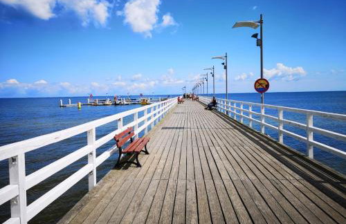 Angel Sea Hill Apartment - Photo 4