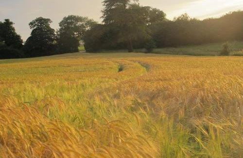 Spixworth Hall Cottages - Foto 21