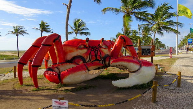 Aracaju City - Walking Tour - Photo 5