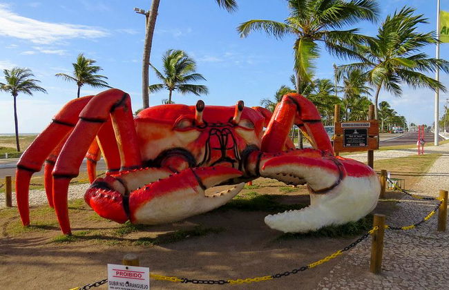 Aracaju City - Walking Tour - Photo 5