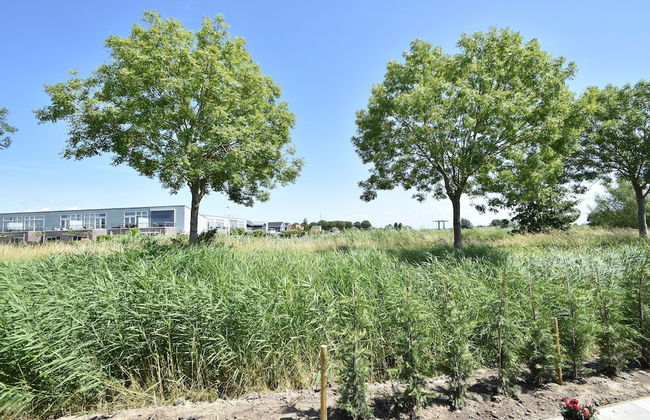 Enticing Holiday Home in Oude With Garden - Foto 39