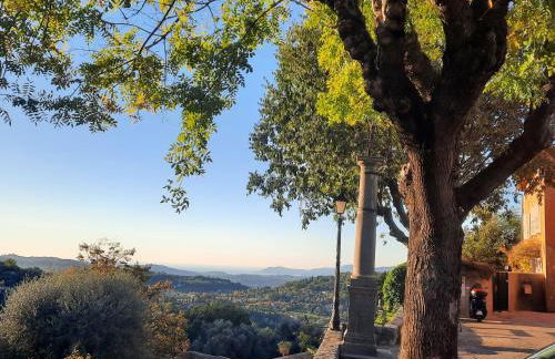 Tranquil, calm garden studio with spa pool - Foto 10