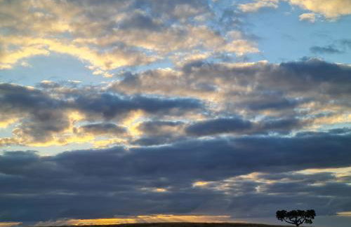 Monte do Arneiro - Foto 61