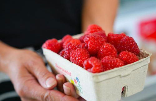 101-freiburg - Foto 10