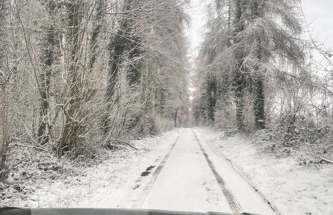 La Petite For t 17th Cent Cottage Near Durbuy - Photo 28