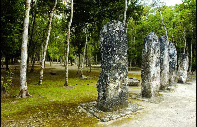 Escursione a Calakmul e Balamkú - Foto 4