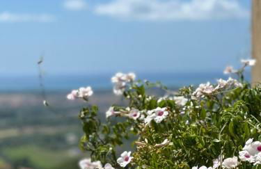 La casa delle stelle - Foto 24