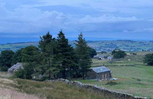 Wild boar barn - Foto 47