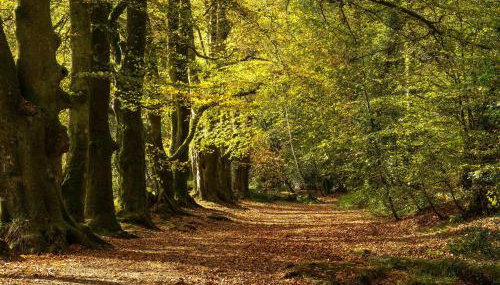 4 Horizon View - Foto 4