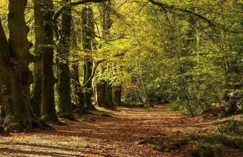 4 Faraway Fields - Photo 25