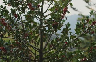 Country house 2 - Foto 31