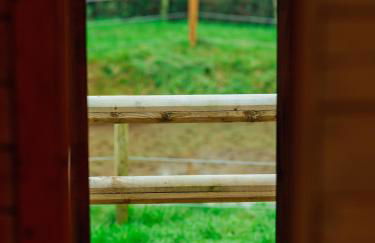 Sunset Retreats The Ice Viking - Foto 13