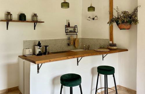 Mas de la Sacristière - Photo 35