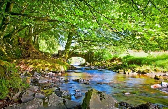 Monkleigh Coachmans Cottage 1 Bedroom - Foto 3