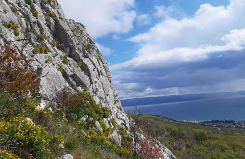 Apartments Babic - Photo 18