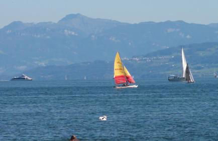 Gästehaus zum Landesteg - Foto 34