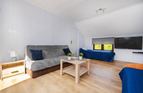 Domki Forest sauna jacuzzi balia Darłowo Darłówko Rusko - Foto 51