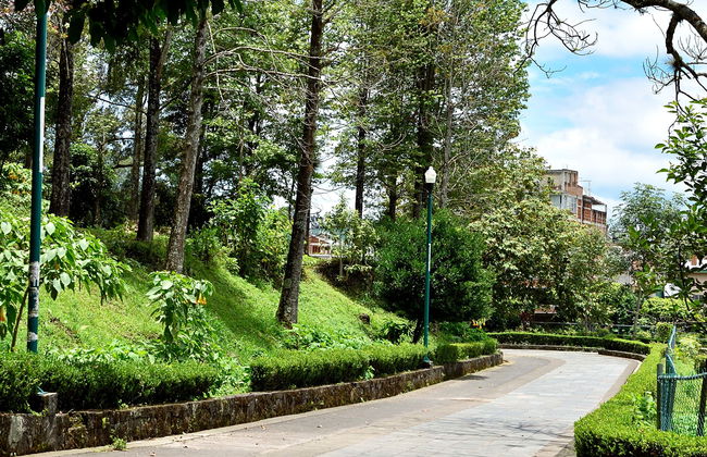 Excursión a Xalapa, Xico y Coatepec - Foto 1