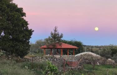 Tapada das Carvalhas - Foto 6