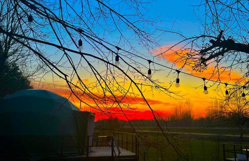 Na Skraju Lasu Domek na Drzewie & Glamping - Foto 22