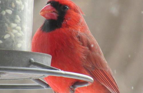 Retreat in a Stunning House - Foto 12