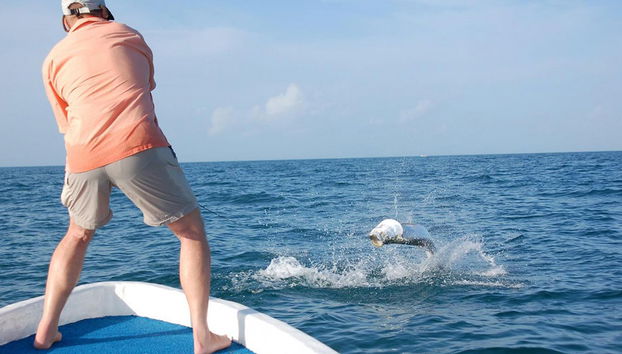 Pesca en alta mar - Foto 5