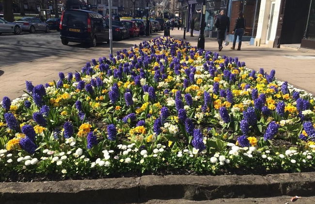 Landmark Apartments Harrogate - Photo 18