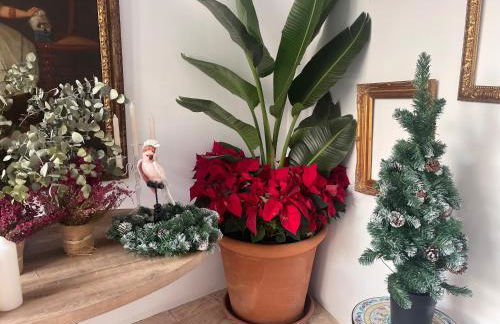 Corazón 23 - Foto 23