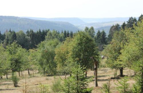 Gartenhaus - Dietzhäuschen - Foto 15