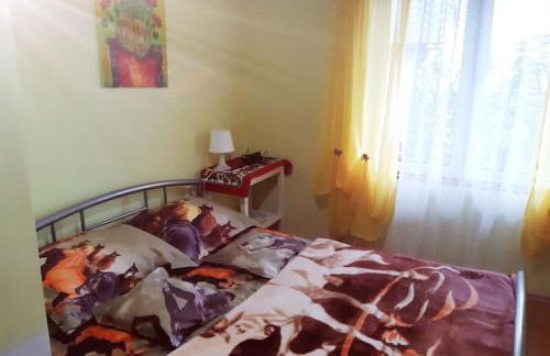 Kuća za odmor Starčević - Foto 20