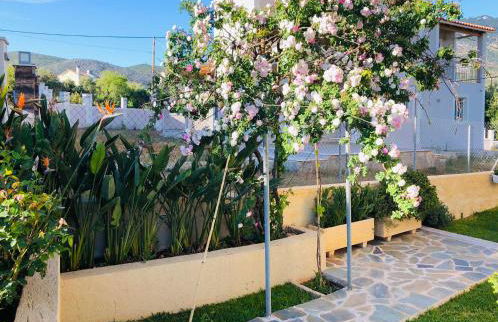 Strelitzia Apartments - Foto 17