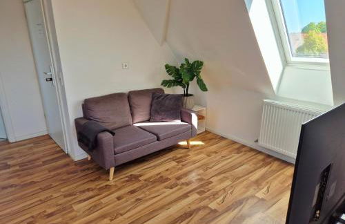 Dachgeschosswohnung 1 - Apartments am Schloss - Foto 8