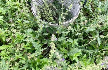 Masía entre viñedos y mar - Foto 47