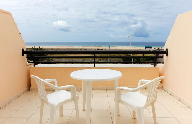 Palm Garden Apartments - Photo 13