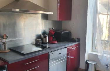 Bienvenue chez les ch'oups 50m2 terrasse 30m2 - Foto 1