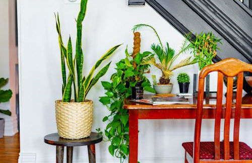 Jungle House Luxury Homes - Columbus Downtown Short North - Steps to Convention Center & Nationwide Arena - Sleeps up to 11 - Free Parking - Over 5,800 Five Stars - Foto 120