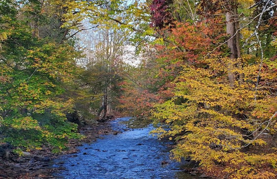 Cozy Creek Cottages - Foto 58